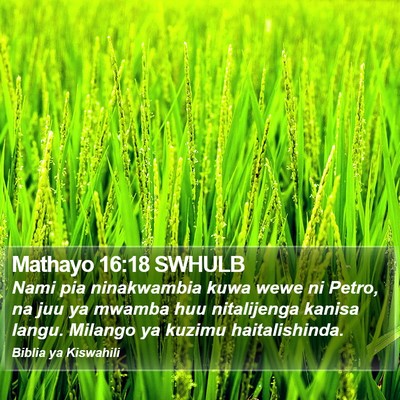 Mathayo 16:18 SWHULB Bible Verse Image