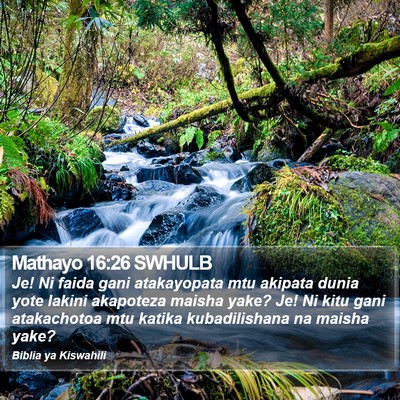 Mathayo 16:26 SWHULB Bible Verse Image