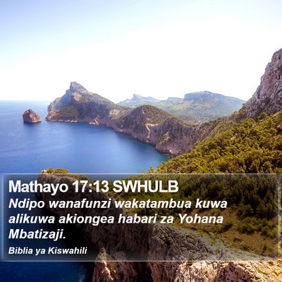 Mathayo 17:13 SWHULB Bible Verse Image