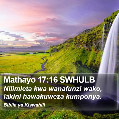 Mathayo 17:16 SWHULB Bible Verse Image