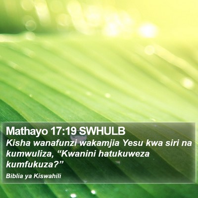 Mathayo 17:19 SWHULB Bible Verse Image