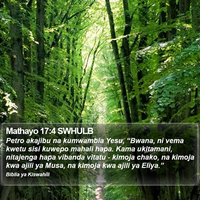 Mathayo 17:4 SWHULB Bible Verse Image