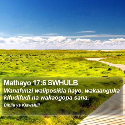 Mathayo 17:6 SWHULB Bible Verse Image