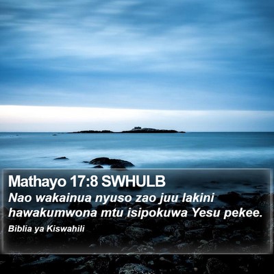 Mathayo 17:8 SWHULB Bible Verse Image
