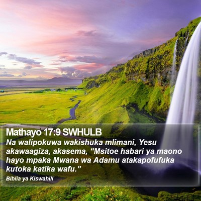 Mathayo 17:9 SWHULB Bible Verse Image