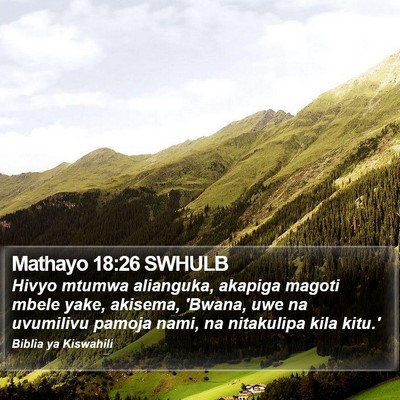 Mathayo 18:26 SWHULB Bible Verse Image
