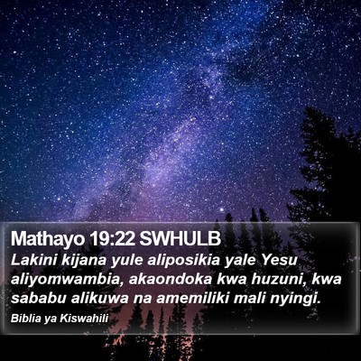 Mathayo 19:22 SWHULB Bible Verse Image