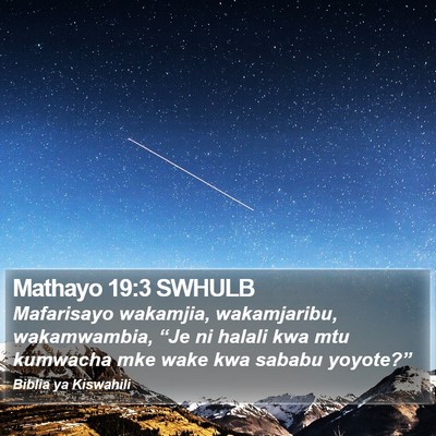 Mathayo 19:3 SWHULB Bible Verse Image