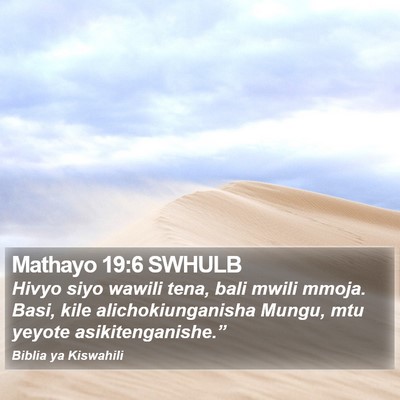 Mathayo 19:6 SWHULB Bible Verse Image