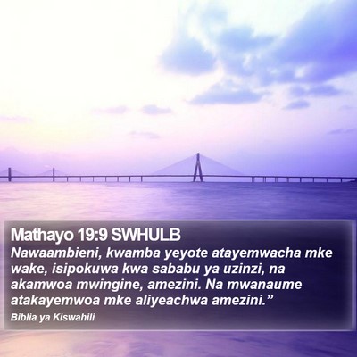 Mathayo 19:9 SWHULB Bible Verse Image