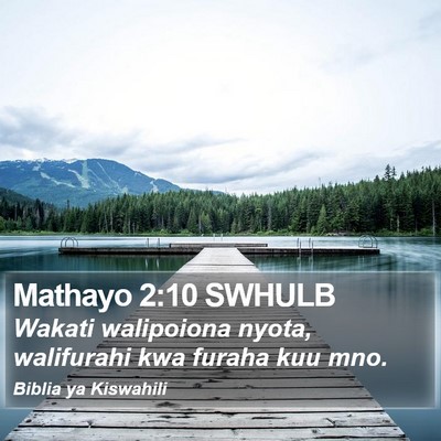 Mathayo 2:10 SWHULB Bible Verse Image