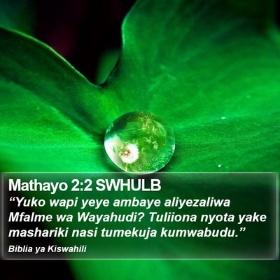 Mathayo 2:2 SWHULB Bible Verse Image