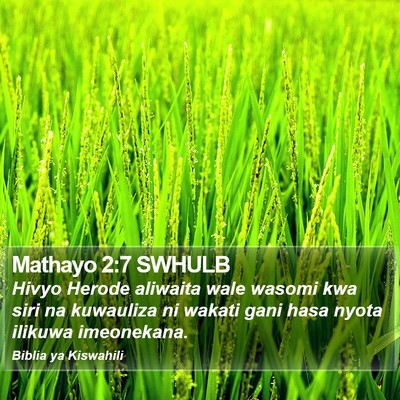 Mathayo 2:7 SWHULB Bible Verse Image