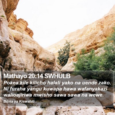 Mathayo 20:14 SWHULB Bible Verse Image