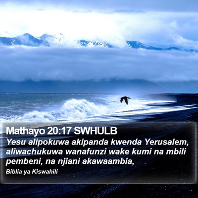 Mathayo 20:17 SWHULB Bible Verse Image
