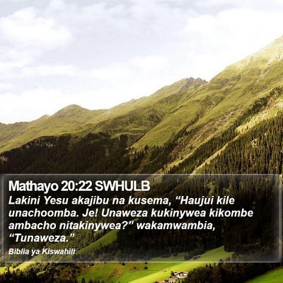 Mathayo 20:22 SWHULB Bible Verse Image