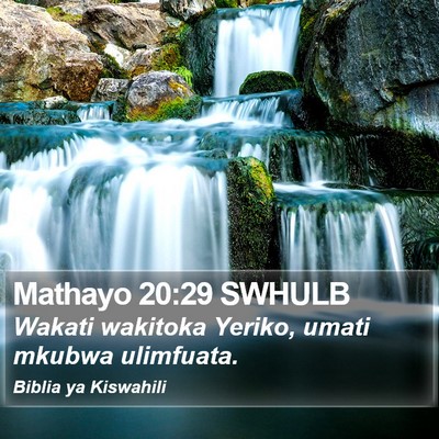 Mathayo 20:29 SWHULB Bible Verse Image