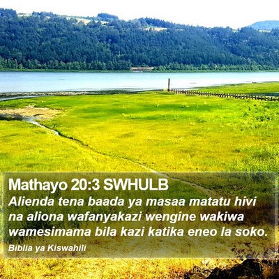 Mathayo 20:3 SWHULB Bible Verse Image