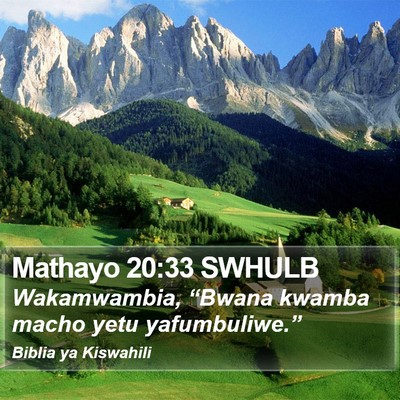 Mathayo 20:33 SWHULB Bible Verse Image
