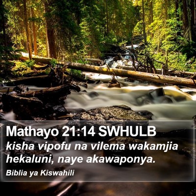 Mathayo 21:14 SWHULB Bible Verse Image