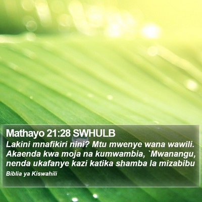 Mathayo 21:28 SWHULB Bible Verse Image