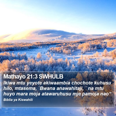 Mathayo 21:3 SWHULB Bible Verse Image