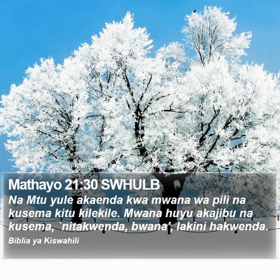 Mathayo 21:30 SWHULB Bible Verse Image