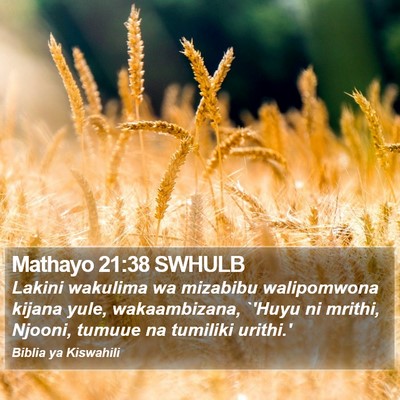 Mathayo 21:38 SWHULB Bible Verse Image