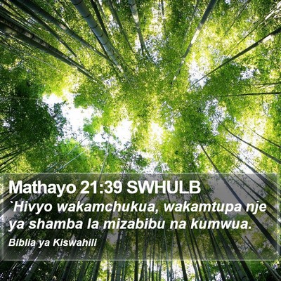 Mathayo 21:39 SWHULB Bible Verse Image