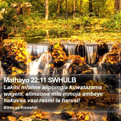 Mathayo 22:11 SWHULB Bible Verse Image
