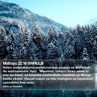 Mathayo 22:16 SWHULB Bible Verse Image