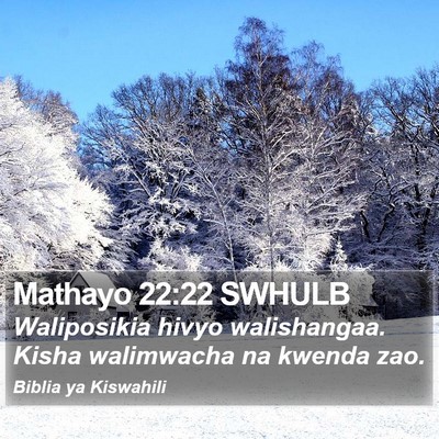 Mathayo 22:22 SWHULB Bible Verse Image