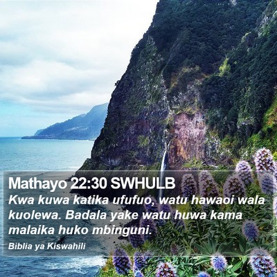 Mathayo 22:30 SWHULB Bible Verse Image