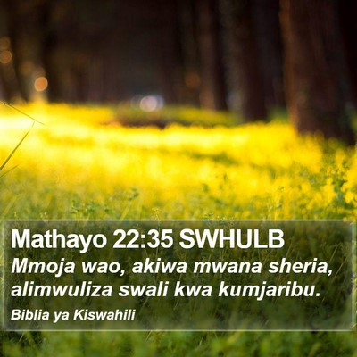 Mathayo 22:35 SWHULB Bible Verse Image