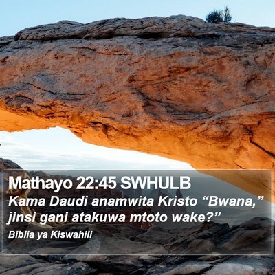 Mathayo 22:45 SWHULB Bible Verse Image