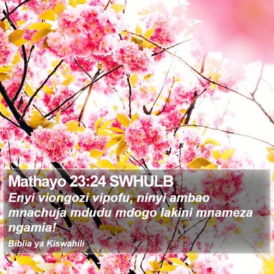 Mathayo 23:24 SWHULB Bible Verse Image