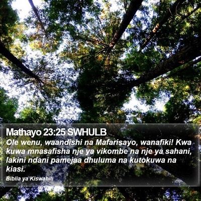 Mathayo 23:25 SWHULB Bible Verse Image