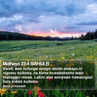 Mathayo 23:4 SWHULB Bible Verse Image
