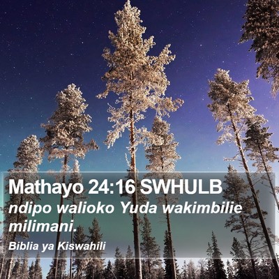 Mathayo 24:16 SWHULB Bible Verse Image