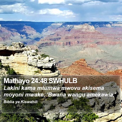 Mathayo 24:48 SWHULB Bible Verse Image