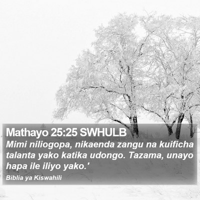 Mathayo 25:25 SWHULB Bible Verse Image