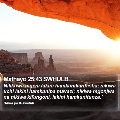 Mathayo 25:43 SWHULB Bible Verse Image