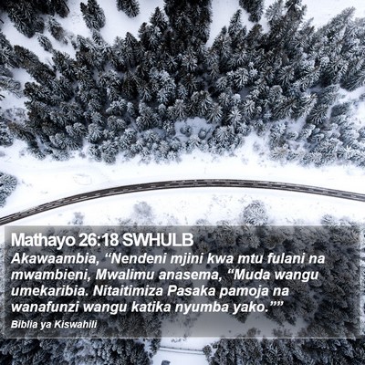 Mathayo 26:18 SWHULB Bible Verse Image