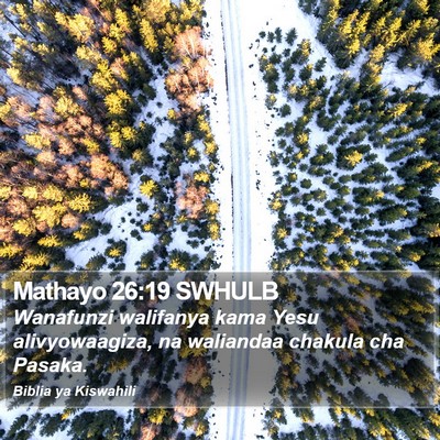 Mathayo 26:19 SWHULB Bible Verse Image