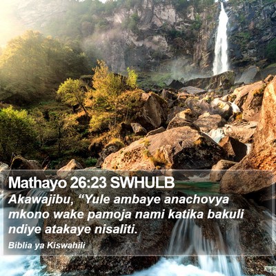 Mathayo 26:23 SWHULB Bible Verse Image