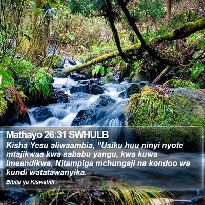 Mathayo 26:31 SWHULB Bible Verse Image