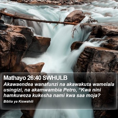 Mathayo 26:40 SWHULB Bible Verse Image