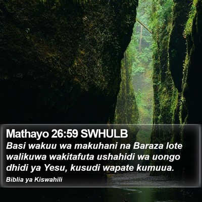 Mathayo 26:59 SWHULB Bible Verse Image