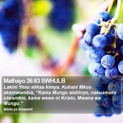 Mathayo 26:63 SWHULB Bible Verse Image