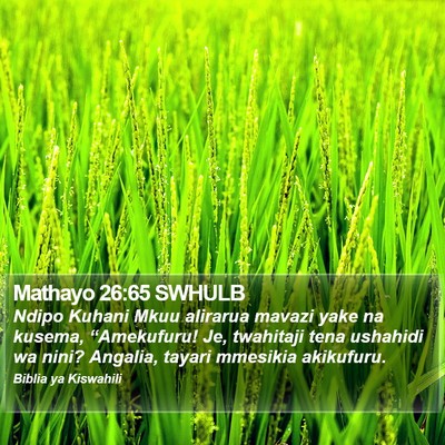 Mathayo 26:65 SWHULB Bible Verse Image
